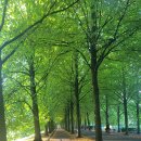 Promenade- 이미지