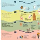 그림책탐험 이미지