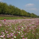 명인농장 이미지