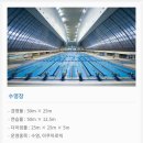 수영환경공원 | 올림픽공원 수영장 토요일 자유수영 솔직 후기::가격, 시간, 시설, 분위기,혼잡도