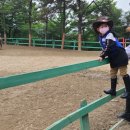 운악호스랜드