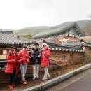 광천한우