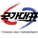 용인대국가대표 태권도 이미지
