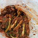 파김치 드림 이미지