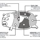 고기지존