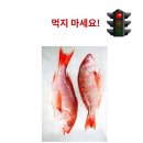 박사식품 이미지