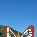 유주막로 네이버블로그
