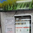 능소비빔국수(가산점) 이미지