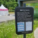 북서울오토바이 | [애들이랑 이번주말은] '북서울꿈의숲 점핑분수&미러폰드에서 놀기