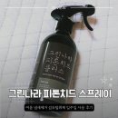 여름철 냄새 제거 그린나라 피톤치드 스프레이 사용 후기 섬유탈취제 효과