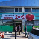 패밀리뷔페토마토 이미지