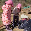 원추리반, 참나리반의 12월 3주 숲놀이터이야기 이미지