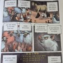 계명농장2 이미지