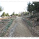 서구-01-04 Daum카페