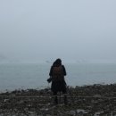 고흥나루터 이미지