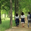 모라 유아숲체험원 이미지