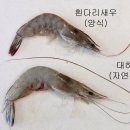 대하