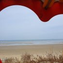 백리포 해수욕장 이미지