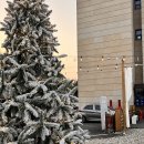 카페 레브 | 경기도 동탄 불멍카페 르레브 애견 동반 가능 대형 카페 후기