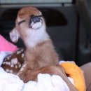 (주)인사이트미디어 이미지