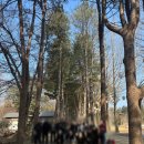 내 손으로 직접 만들며 체험하는 코딩 기술(입문) | [연구부]2026 교직원 워크샵 후기