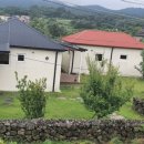 심지방코지 이미지