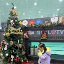 타잔비엔지 이미지