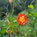 상거리경로당 네이버블로그