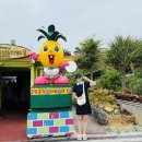 왕눈이농장 | 2025.6.1.일본 오키나와 여행_나고 파인애플 파크🍍