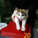 용현5동 주민센터 이미지