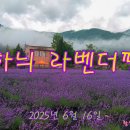 하늬농장 이미지