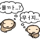 3세트짐 체형교정센터 이미지