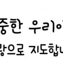 백호합기도 이미지