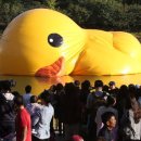 덕