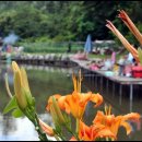 단봉낚시터 이미지