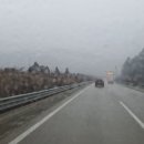 반디펜션 이미지