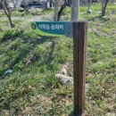 박수량백비 화장실 이미지