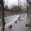 유림분식 이미지