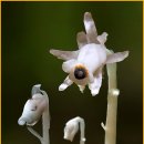 수청초등학교 이미지