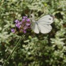 7월 2일(수) &#34;일본·동남아 말고 여기&#34;…요즘 여름휴가예약 몰린다는 곳 이미지