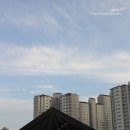 빈스앤피플 네이버블로그