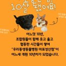 협동동물병원 이미지