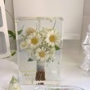 구미중앙로-12 이미지