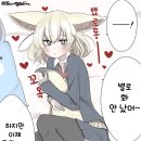 326002 이미지