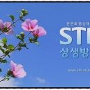 상록수(아) 이미지