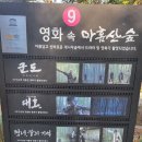 1/28~30(화수목) 부산 포항 울산 해맞이여행 이미지