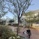 컴포즈커피평택에이스고덕점