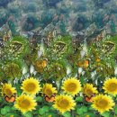 매직아이 - 군산시 | 매직아이