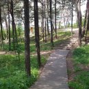 서울국유림관리소 이미지