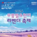 (주)동해관광 | 2026 동해 라벤더축제ㅣ무릉별유천지 낮과 밤 일정ㅣ주차장 5곳